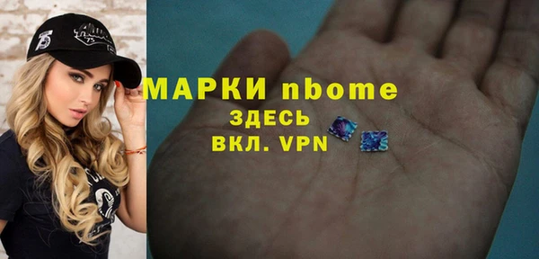 мдпв Краснослободск