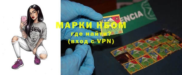 мдпв Краснослободск