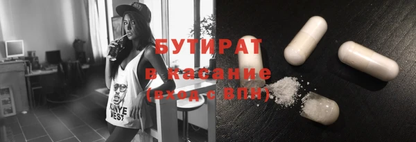 мдпв Краснослободск