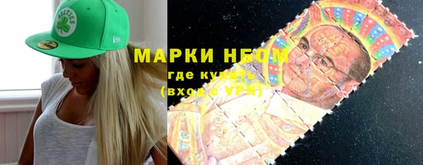 мдпв Краснослободск