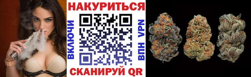Купить где Гвардейск Марихуана OG Kush